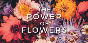 Unlocking the Power of Flowers: How Tresor Bouquets Promotes Well-Being and Happiness